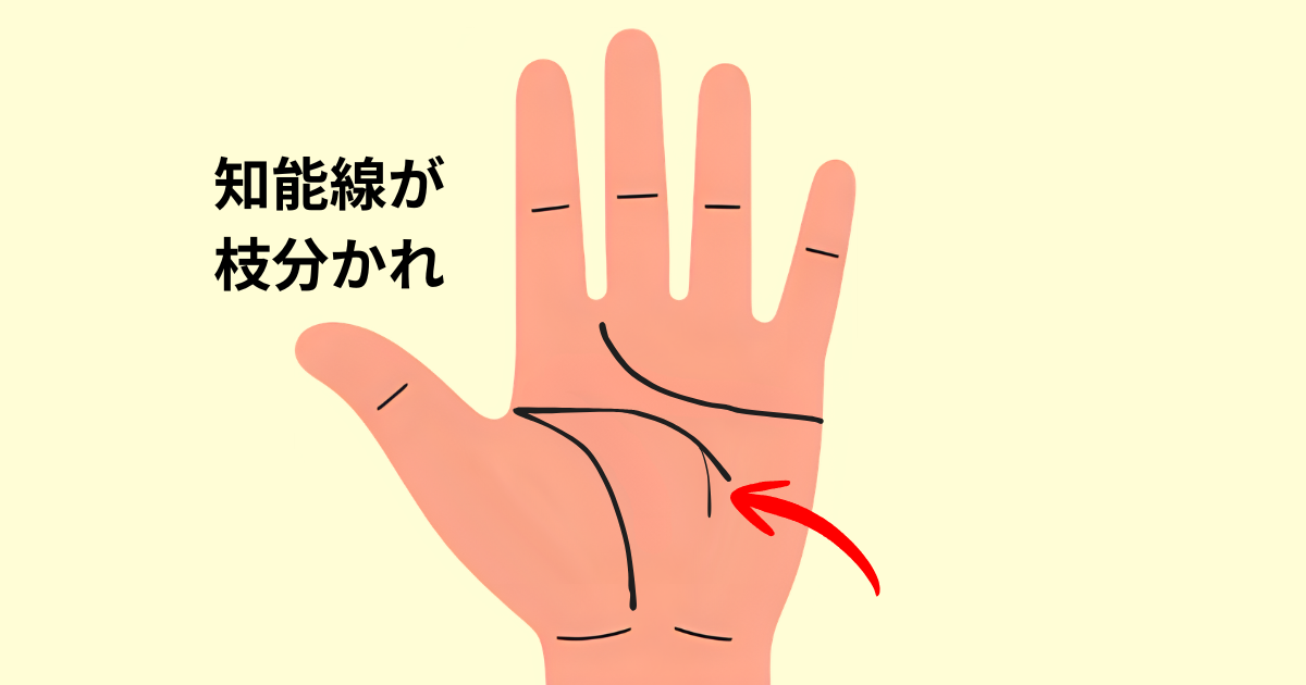 知能線が枝分かれしている手相