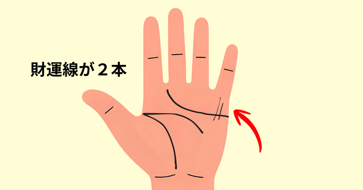 財運線が２本ある手相は副業でダブル収入あり